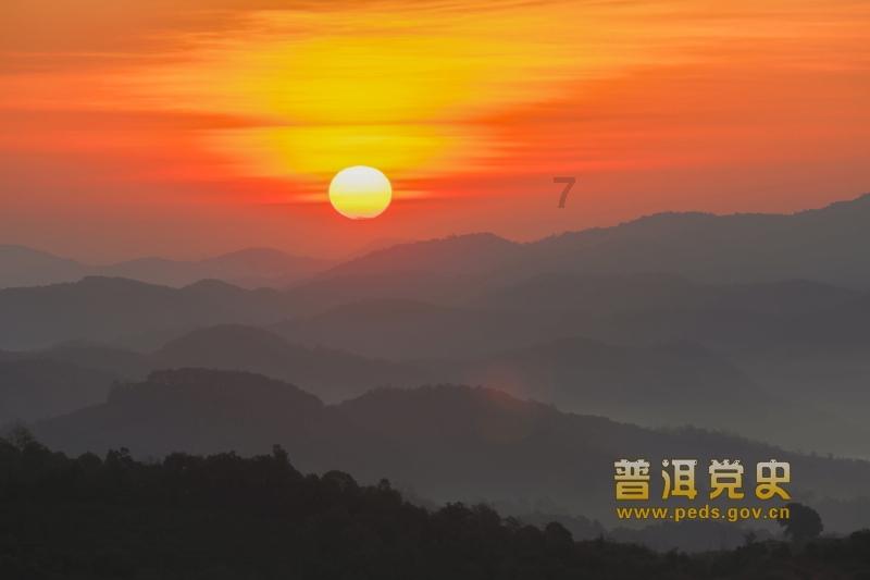 重生之玫瑰豪门