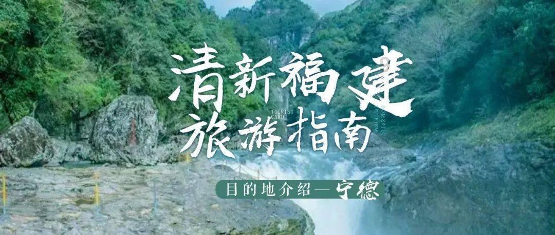 豫剧四大声腔流派包括官方网站-最全面准确的问答信息