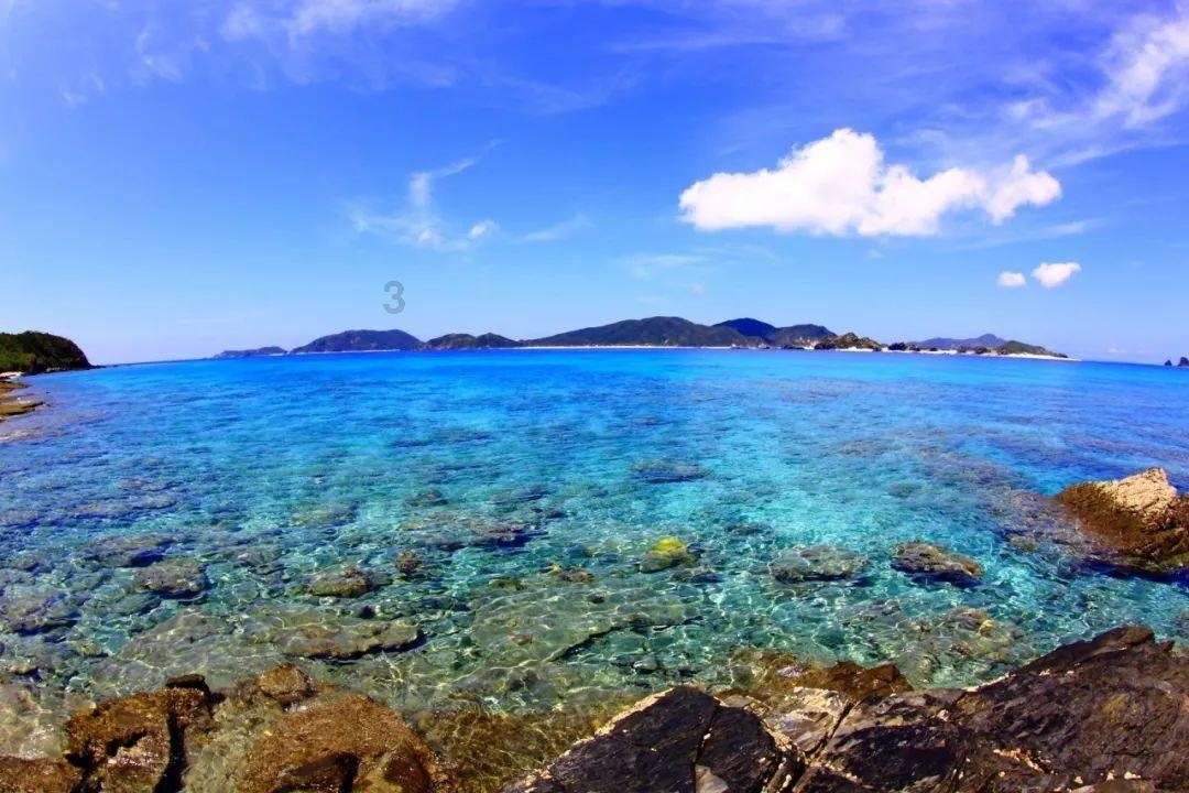 没人告密,旅长怎知李云龙得了一个骑兵营?他本来就是搞情报的!